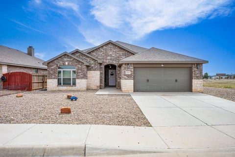 Homes For Sale - 1100 Lasso Lane<br/> Midland County, Midland, TX 79705