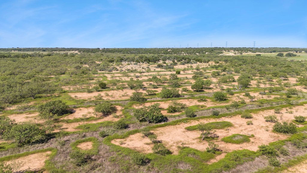 TBD Fm 2633, Santa Anna, Texas image 4