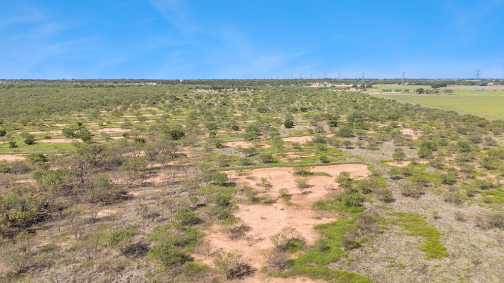 TBD Fm 2633, Santa Anna, Texas image 6