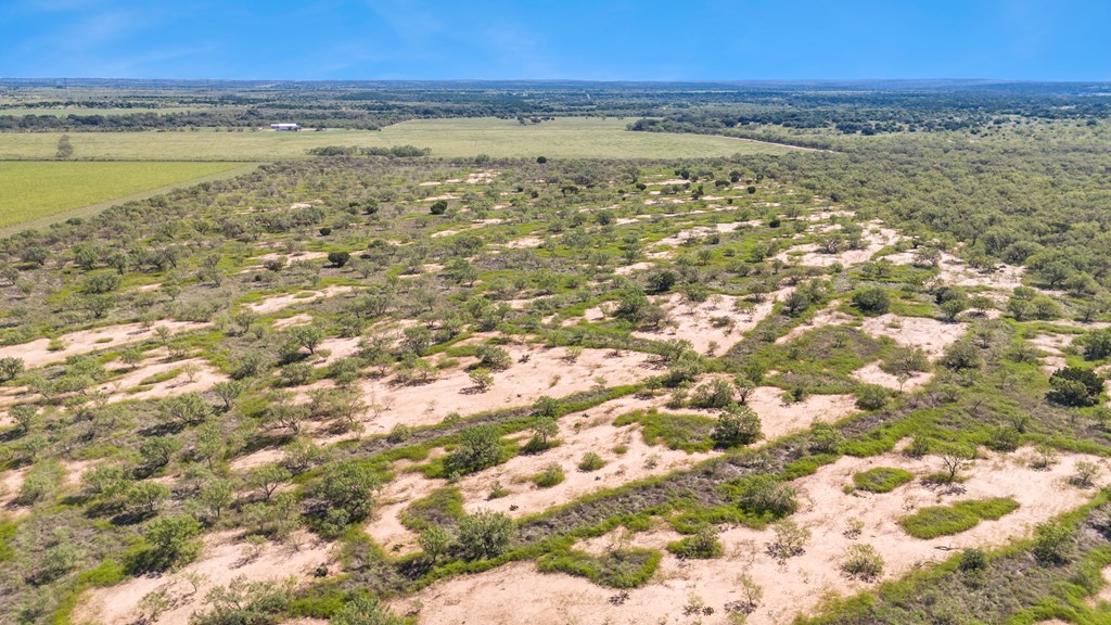 TBD Fm 2633, Santa Anna, Texas image 9