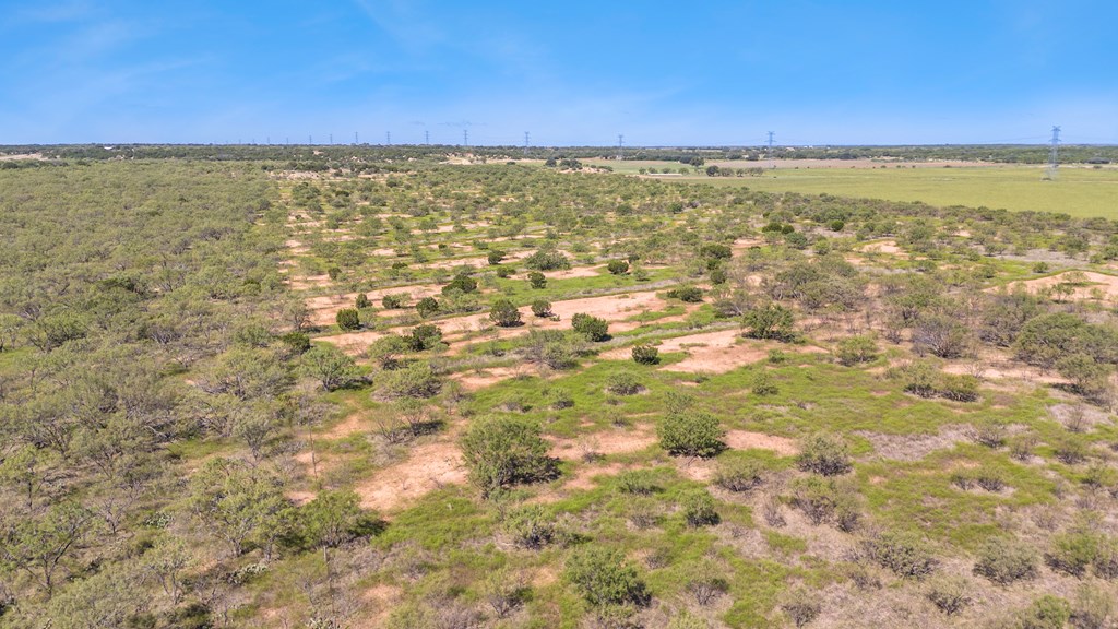 TBD Fm 2633, Santa Anna, Texas image 11