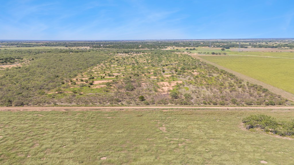 TBD Fm 2633, Santa Anna, Texas image 13