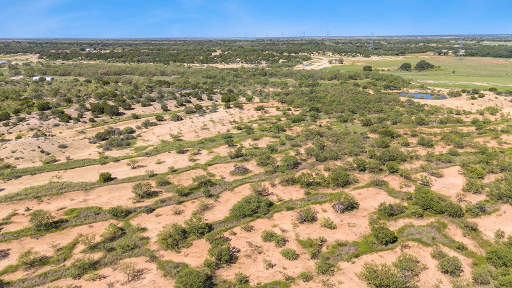 TBD Fm 2633, Santa Anna, Texas image 10