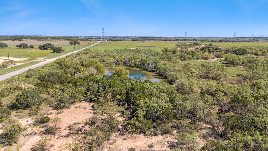 TBD Fm 2633, Santa Anna, Texas image 12