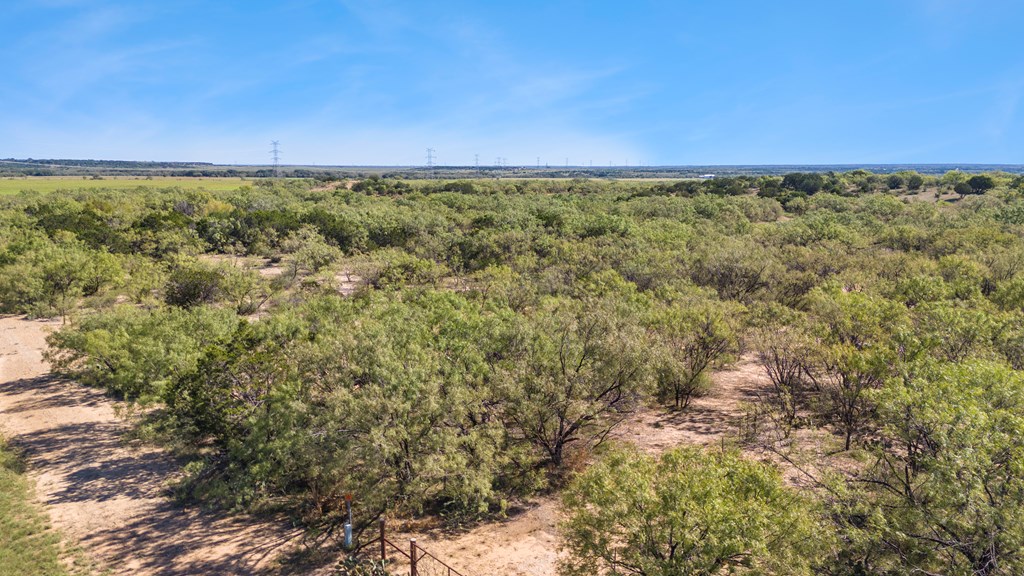 TBD Fm 2633, Santa Anna, Texas image 3