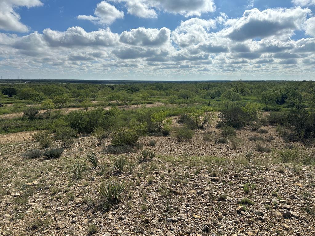 TBD Fm 2633, Santa Anna, Texas image 19