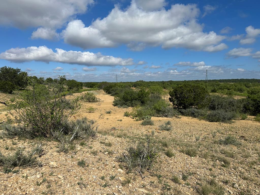 TBD Fm 2633, Santa Anna, Texas image 22