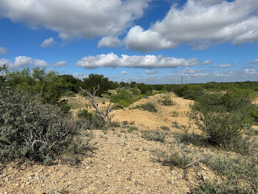 TBD Fm 2633, Santa Anna, Texas image 21