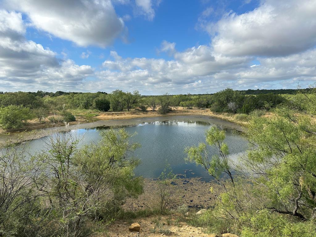 TBD Fm 2633, Santa Anna, Texas image 18