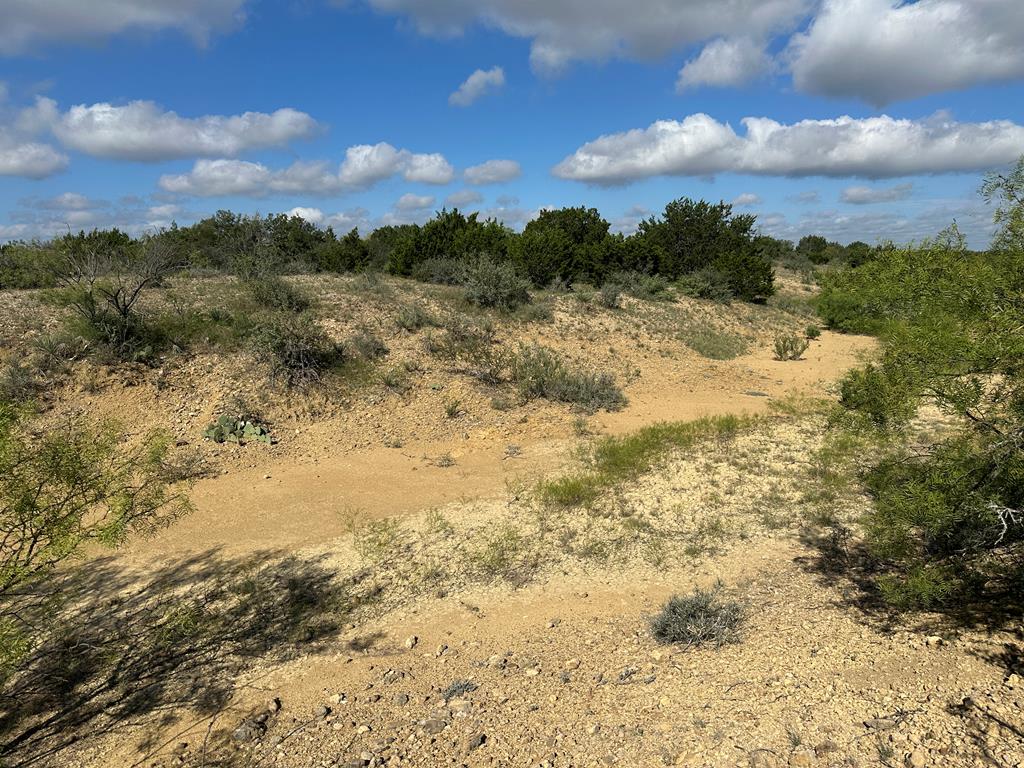 TBD Fm 2633, Santa Anna, Texas image 23