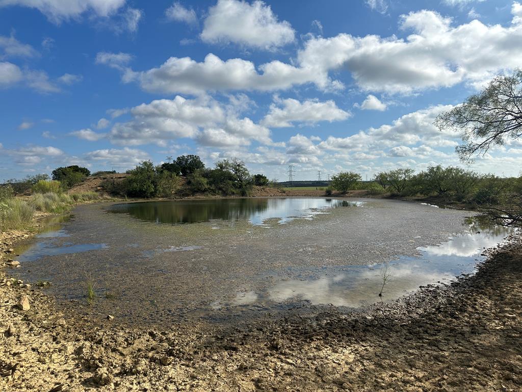 TBD Fm 2633, Santa Anna, Texas image 17