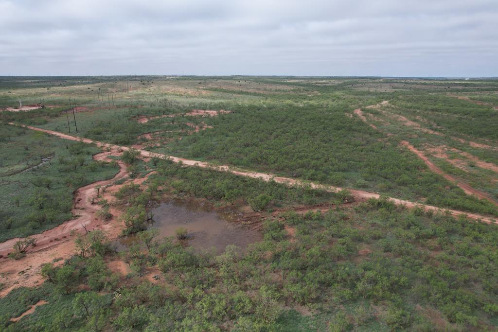 0002 Memorial Way, Snyder, Texas image 4