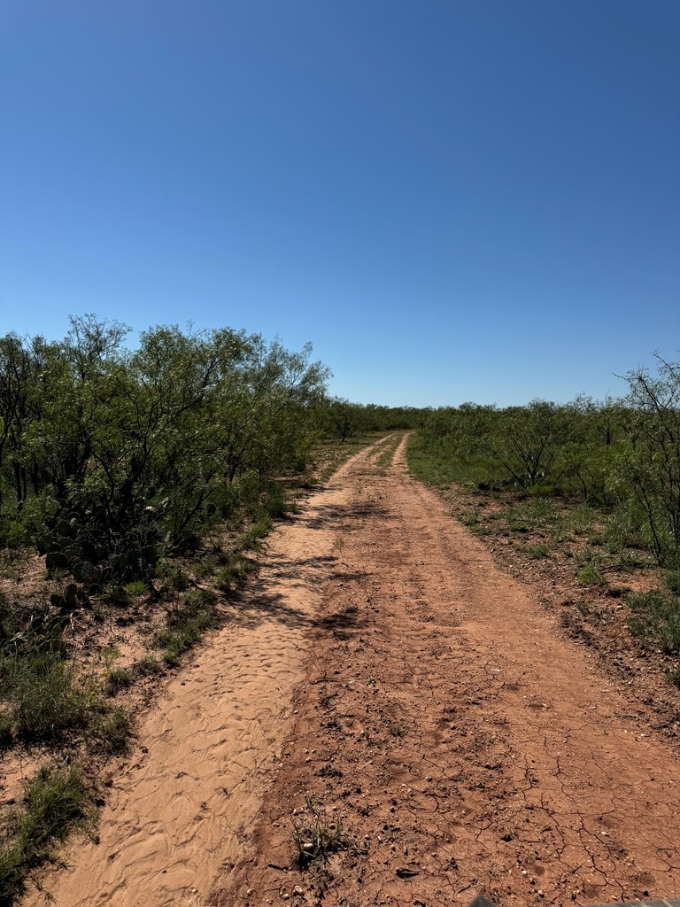 0002 Memorial Way, Snyder, Texas image 6