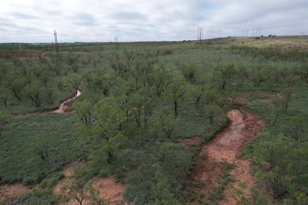 0002 Memorial Way, Snyder, Texas image 5