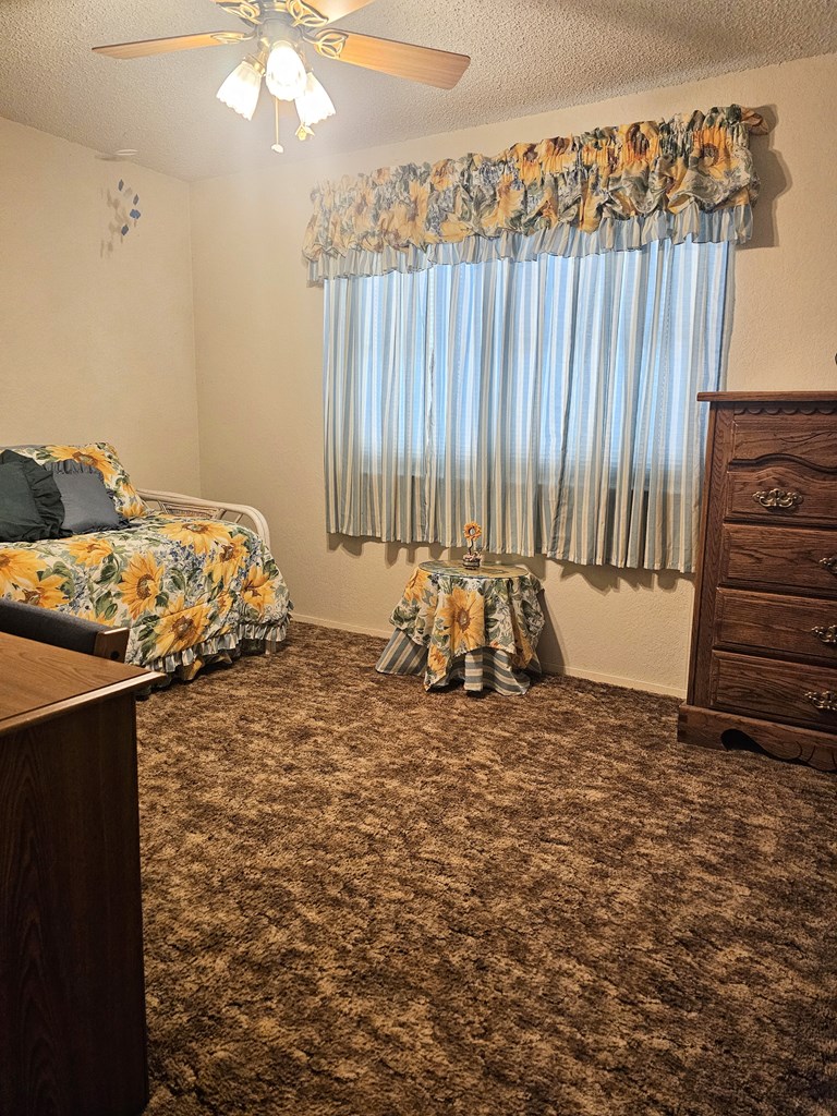 2887 County Rd 307, Colorado City, Texas image 17