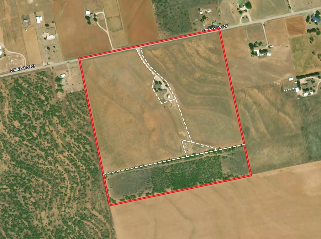 2887 County Rd 307, Colorado City, Texas image 3