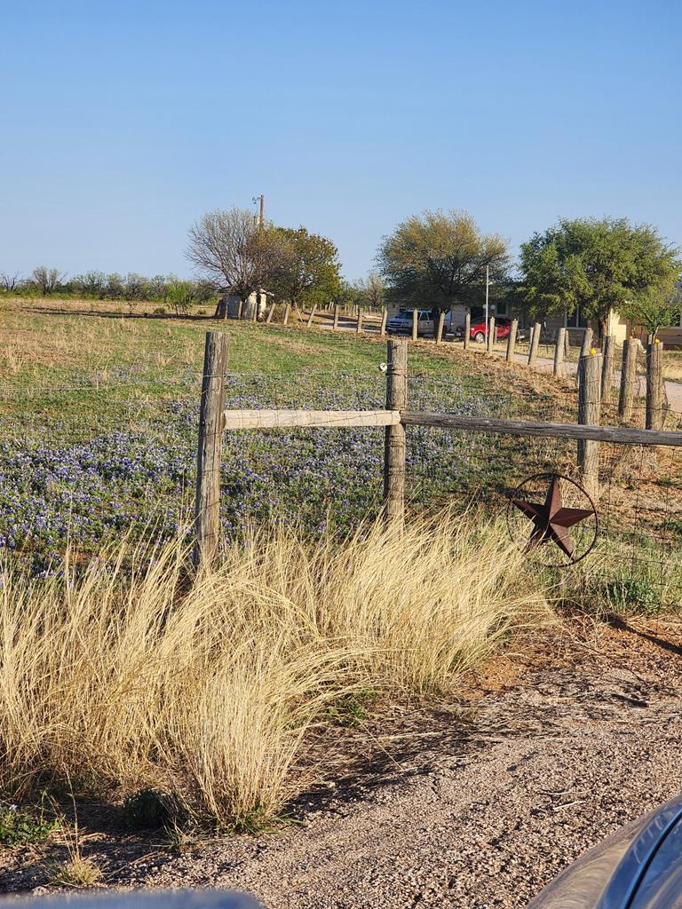 2887 County Rd 307, Colorado City, Texas image 5