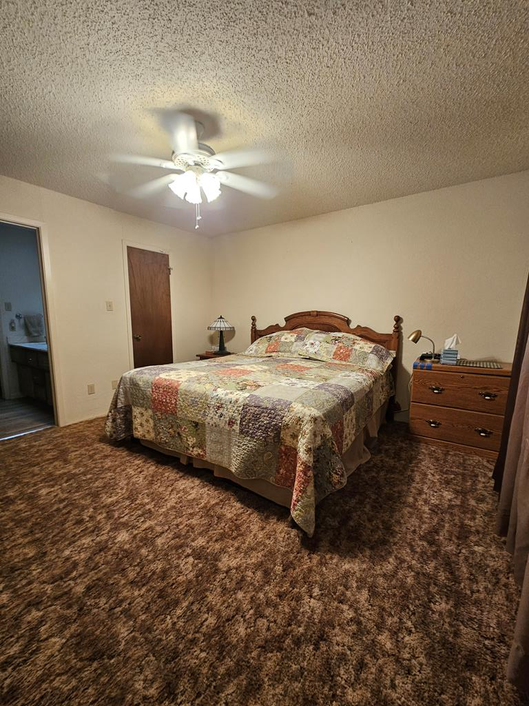2887 County Rd 307, Colorado City, Texas image 24