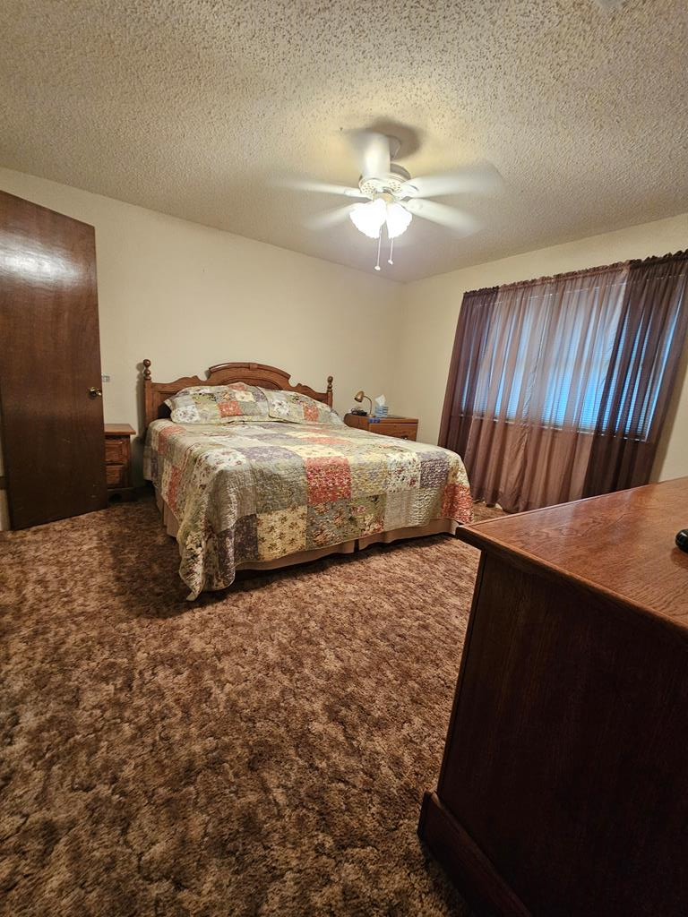 2887 County Rd 307, Colorado City, Texas image 23