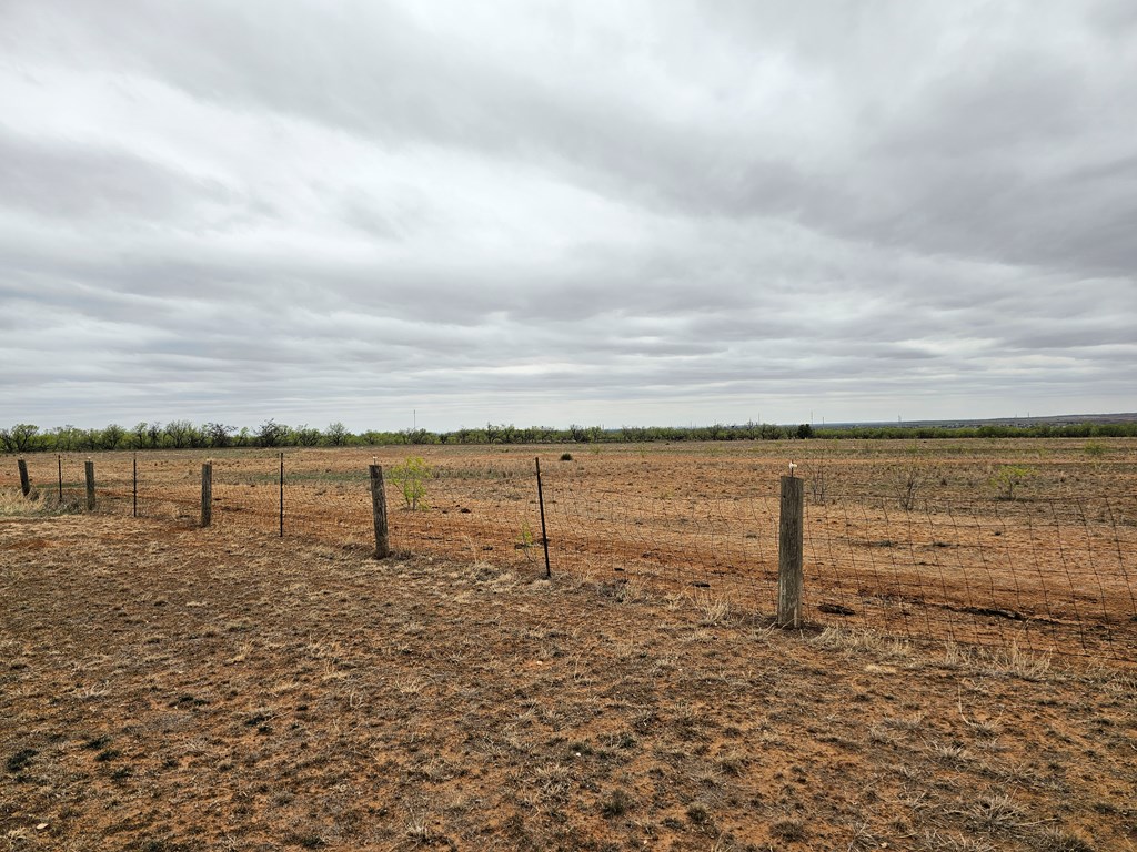 2887 County Rd 307, Colorado City, Texas image 41