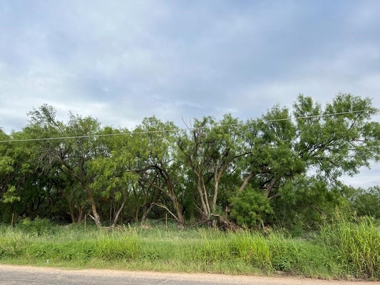 201 N AVE T, SNYDER, TX 79549 - Image af0383c2162aa4e5fe02e6d5d16f6a2b/3796620393