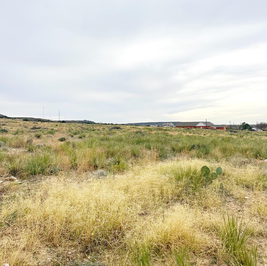 00 B Bobs Trail, Big Spring, Texas image 1