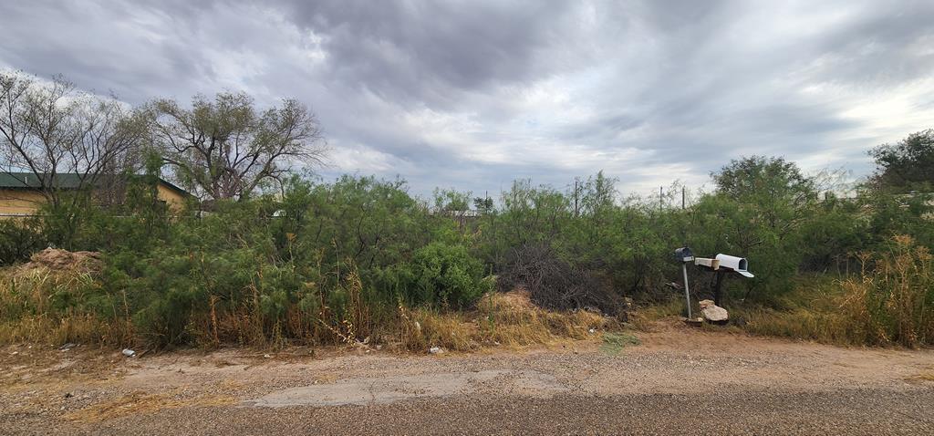 April, Odessa, Texas image 1