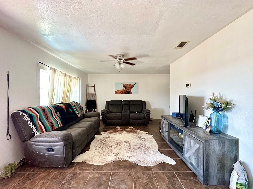 3982 N Valentine, Fort Stockton, Texas image 6