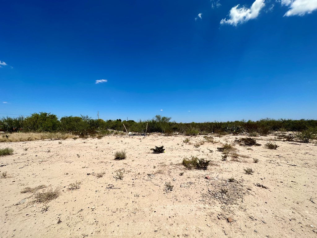 3982 N Valentine, Fort Stockton, Texas image 31