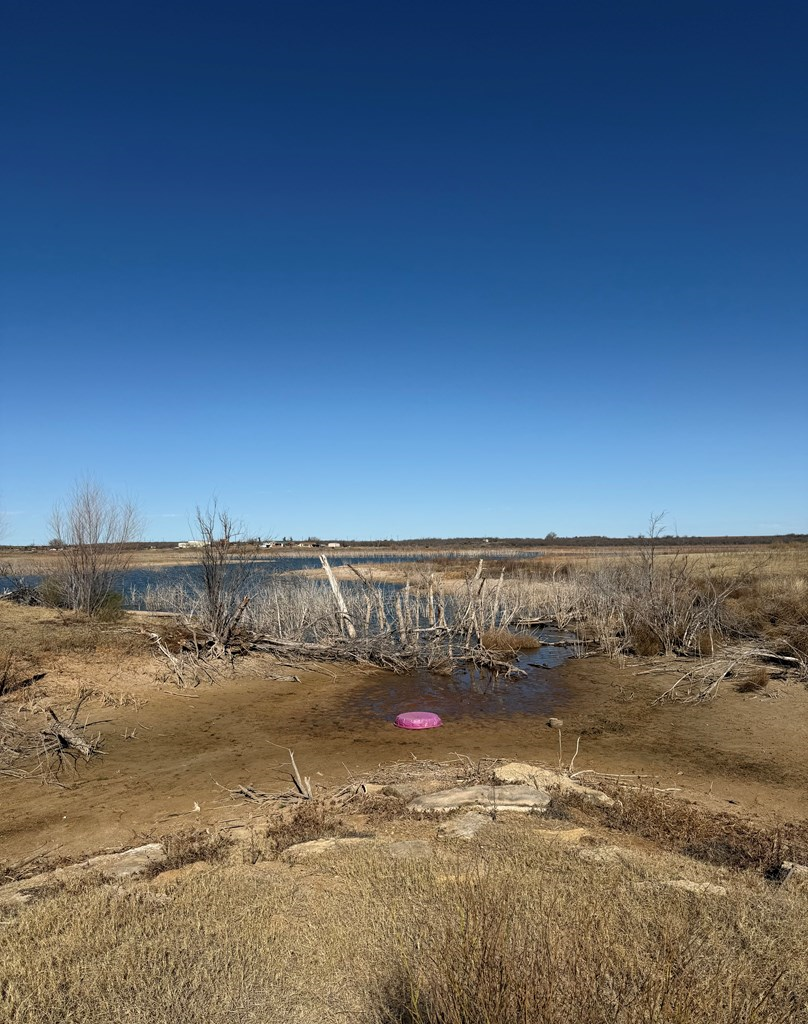 Lcr 175, Colorado City, Texas image 6