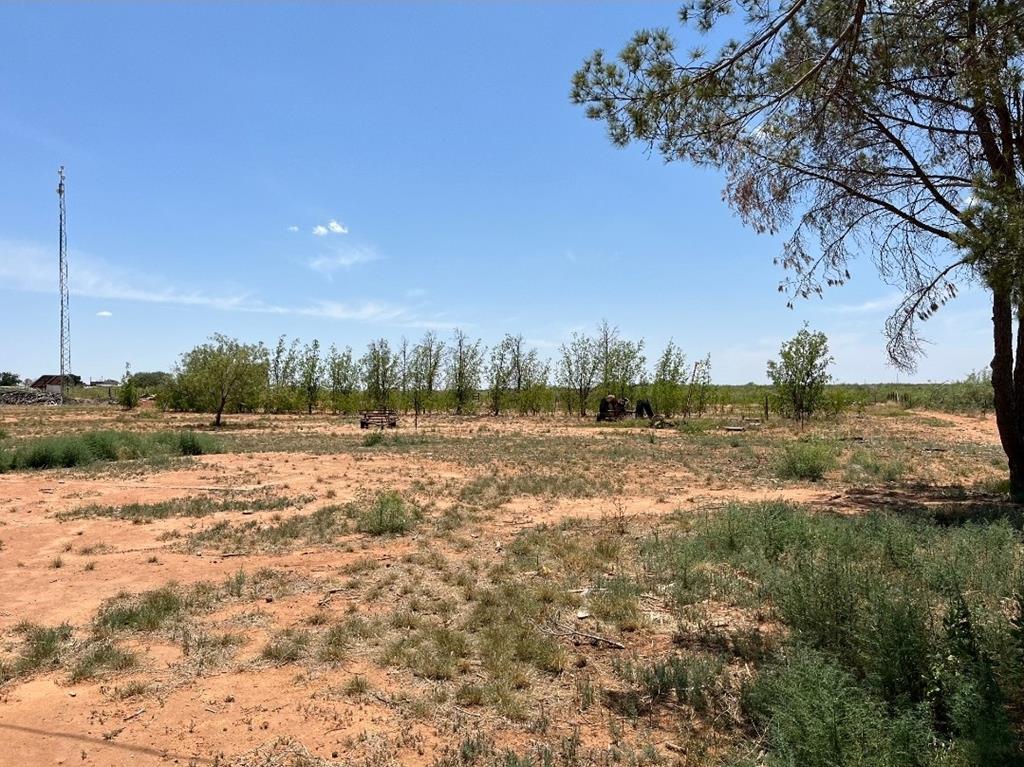 10204 S County Rd 1136, Midland, Texas image 2
