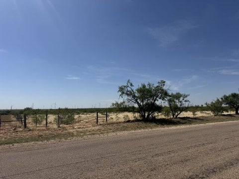 Vacant Land For Sale - TBD Blockline Rd<br/> Snyder, TX 79549