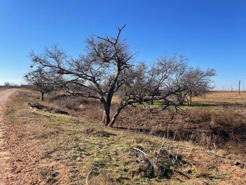 Vacant Land For Sale - TBD Fm 1611<br/> Scurry County, Snyder, TX 79549