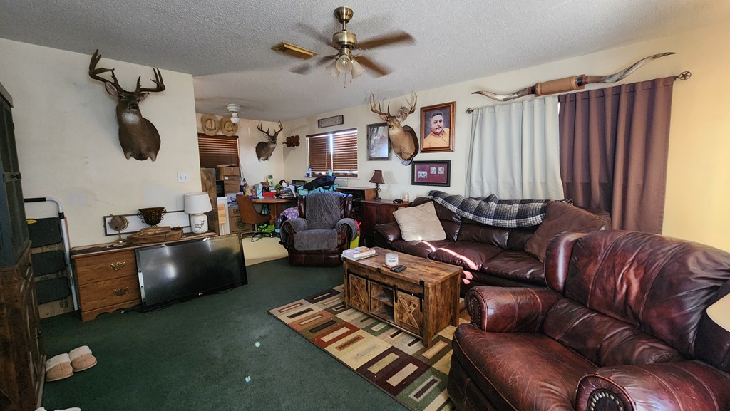6816 N County Rd 1298, Midland, Texas image 2