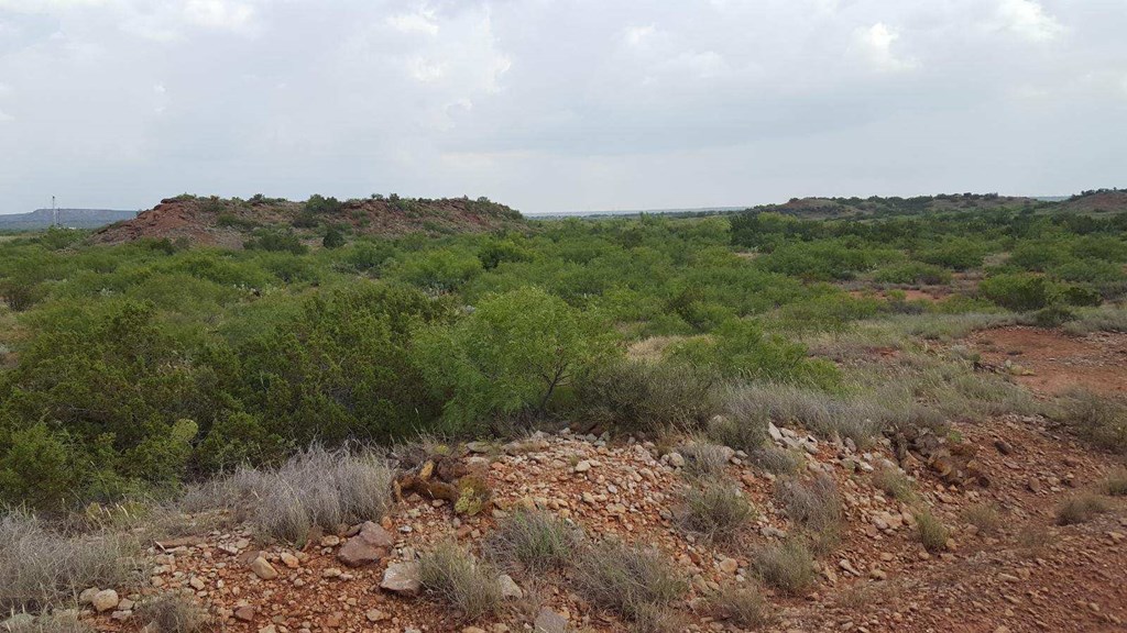 0000 Fm 821, Big Spring, Texas image 3