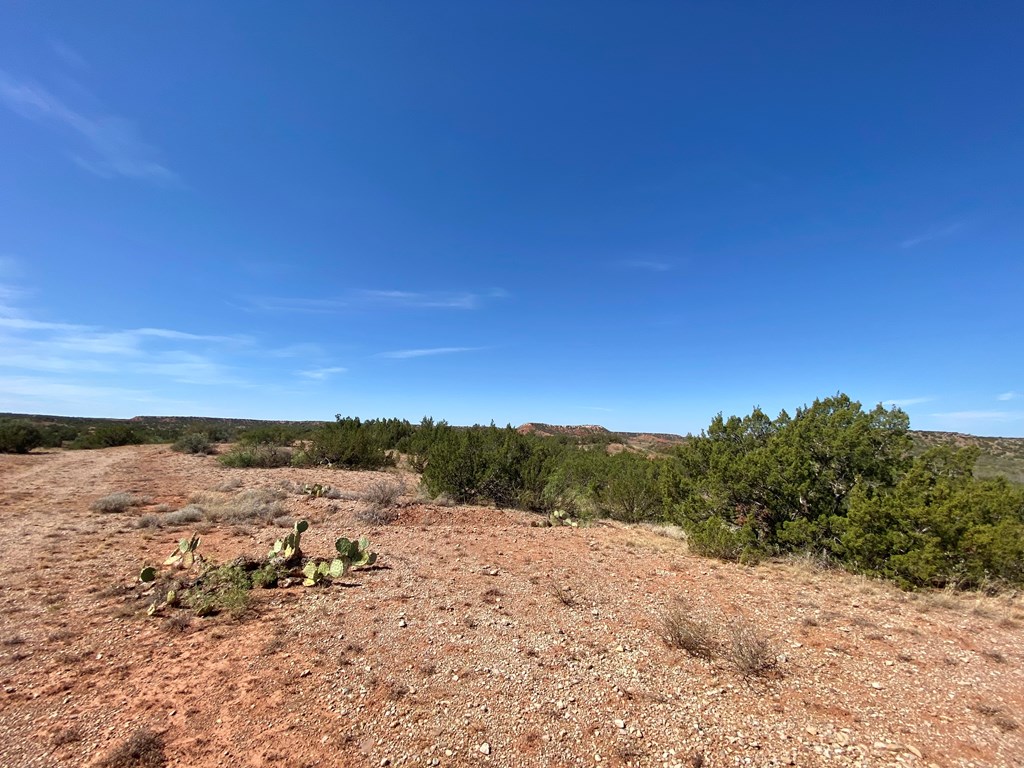 0000 Fm 821, Big Spring, Texas image 18
