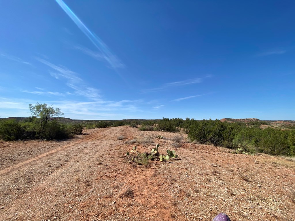 0000 Fm 821, Big Spring, Texas image 19