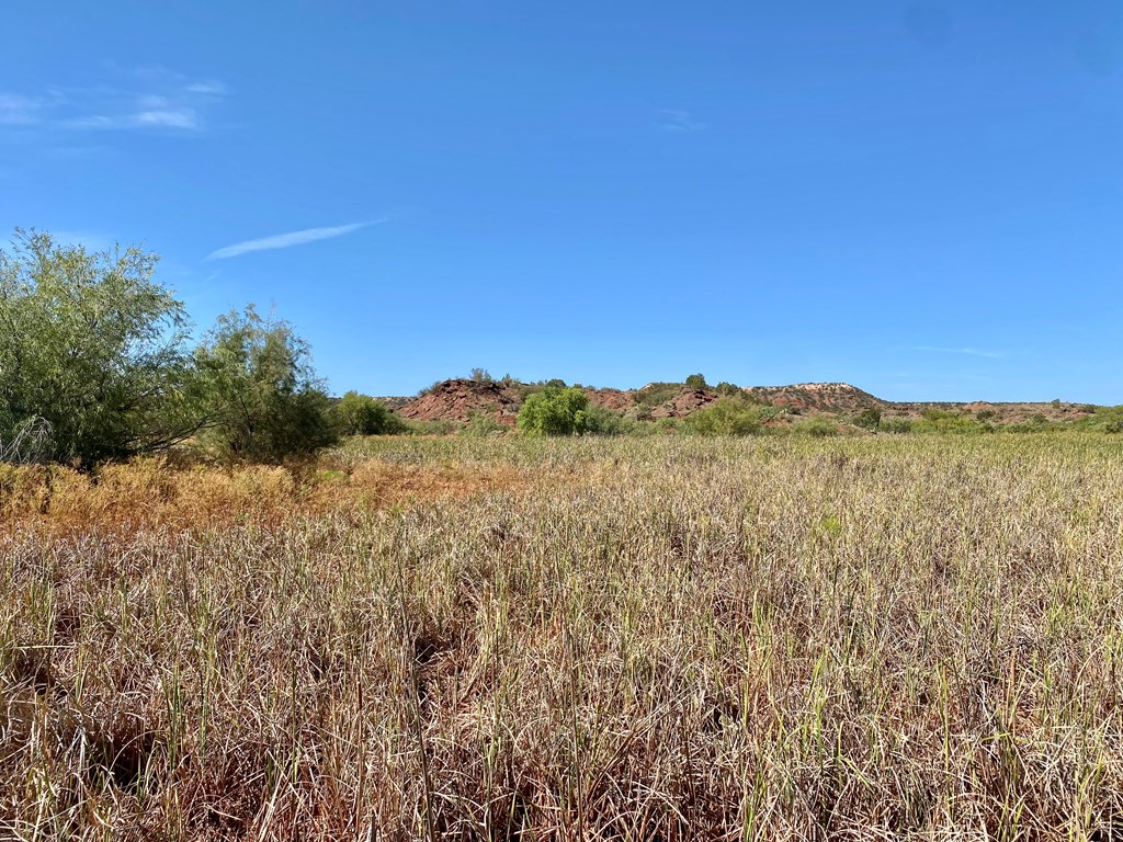 0000 Fm 821, Big Spring, Texas image 16
