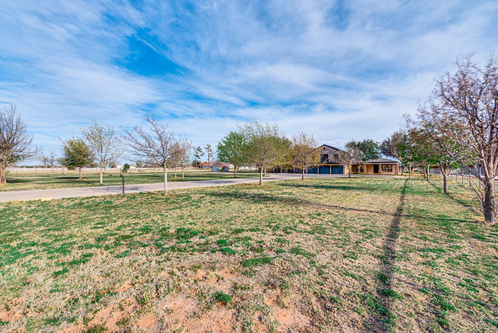 3601 Mockingbird Lane, Midland, Texas image 3