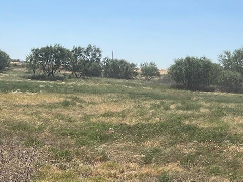 Vacant Land For Sale - 000 County Rd 252<br/> Colorado City, TX 79512
