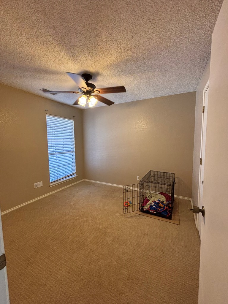 4305 Lubbock Avenue, Snyder, Texas image 23