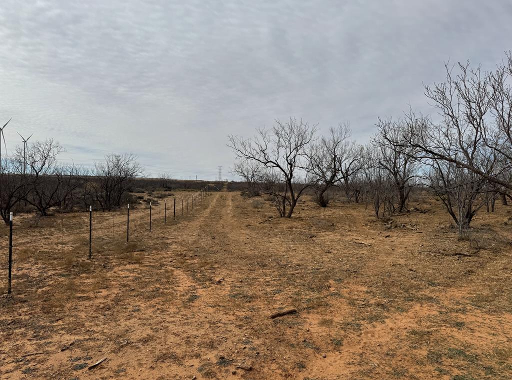 0000 Fm 1609, Snyder, Texas image 6