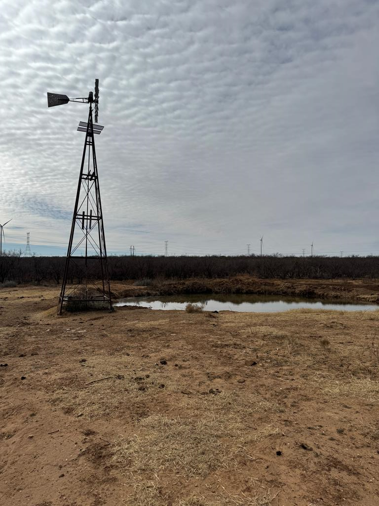 0000 Fm 1609, Snyder, Texas image 1