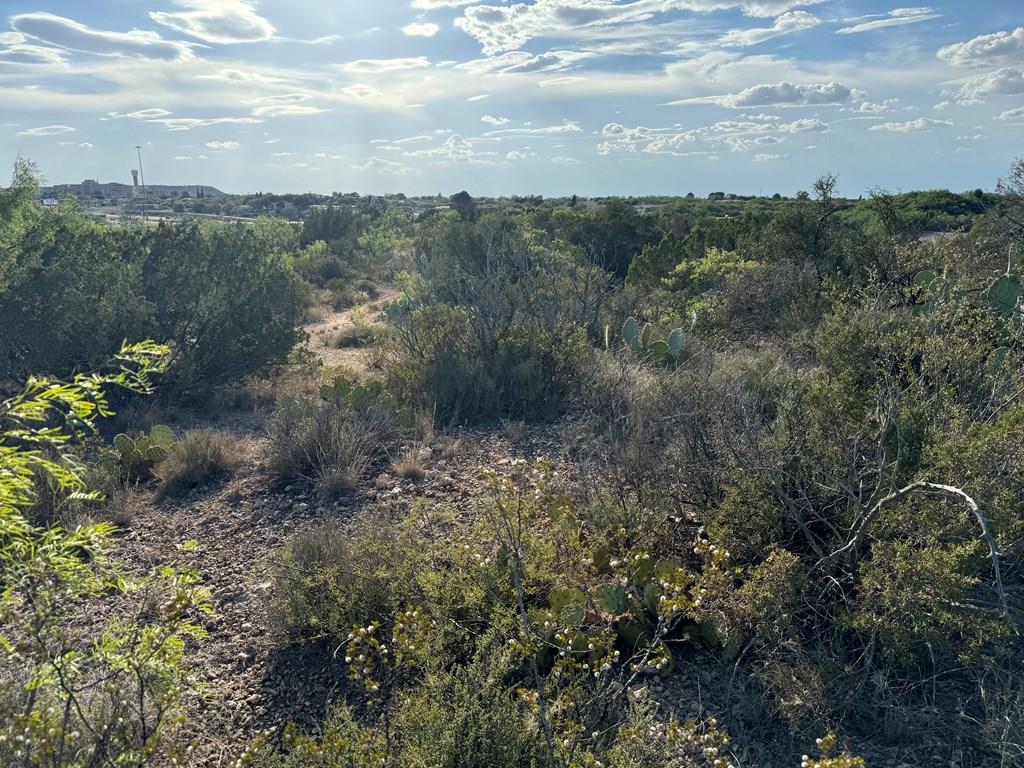 000 Oak Glen, Big Spring, Texas image 1