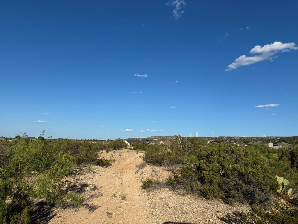 000 Oak Glen, Big Spring, Texas image 5