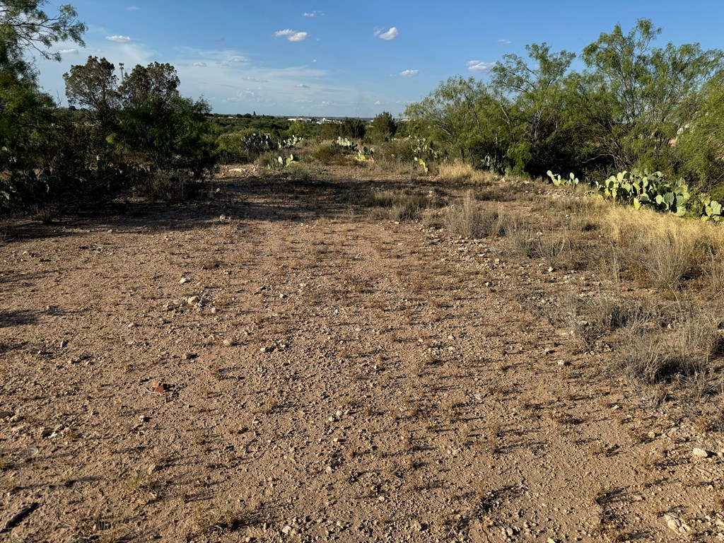 000 Oak Glen, Big Spring, Texas image 7