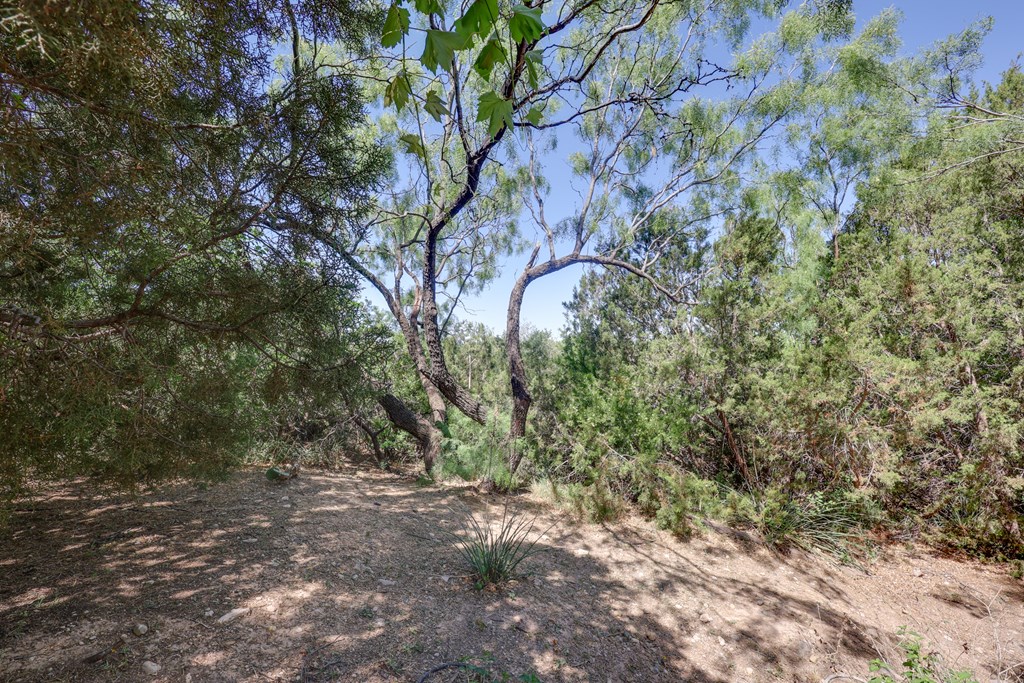2100 Edgemere Rd, Big Spring, Texas image 39