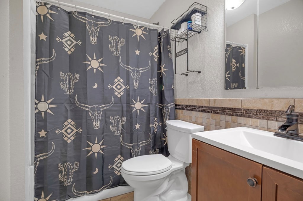 141 Idlewild Creek, Sweetwater, Texas image 11