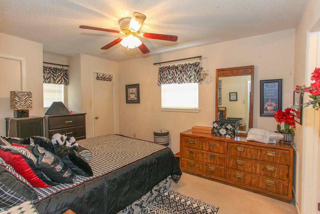 2205 Cecilia St, Big Spring, Texas image 18