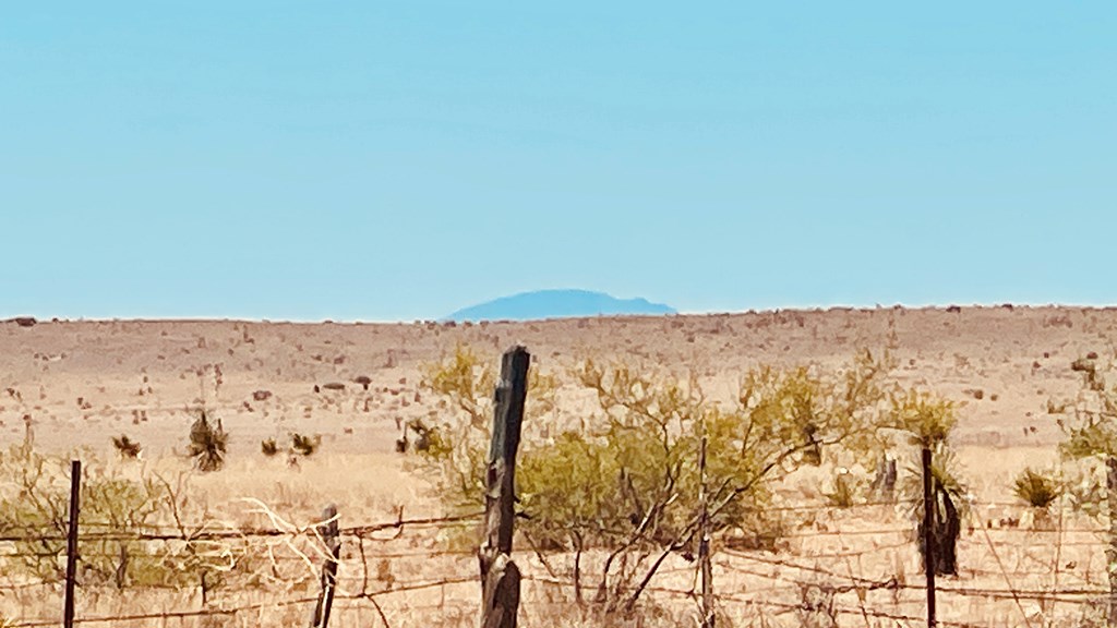 1613 W San Antonio St, Marfa, Texas image 12